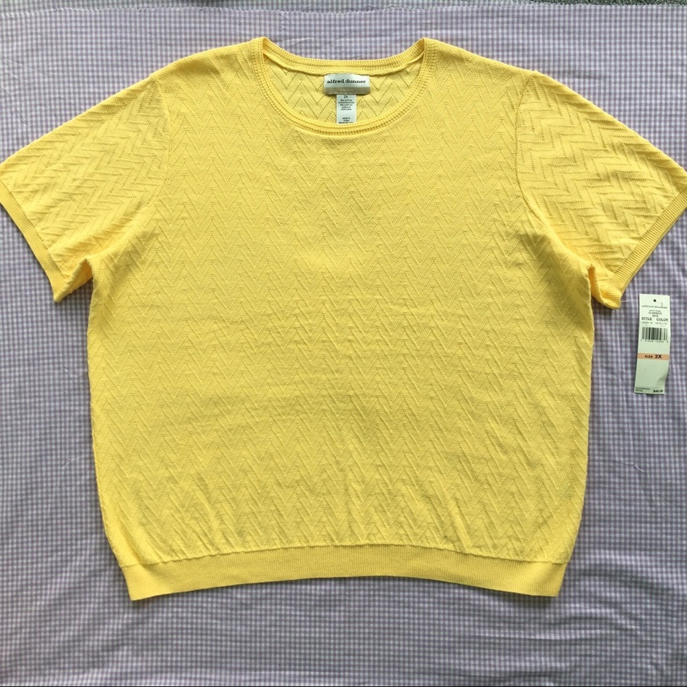 NWT Plus Size Pastel Yellow Textured Knit Top